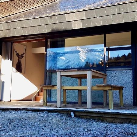 La Cabane Du Cerf A Payolle كامبان المظهر الخارجي الصورة