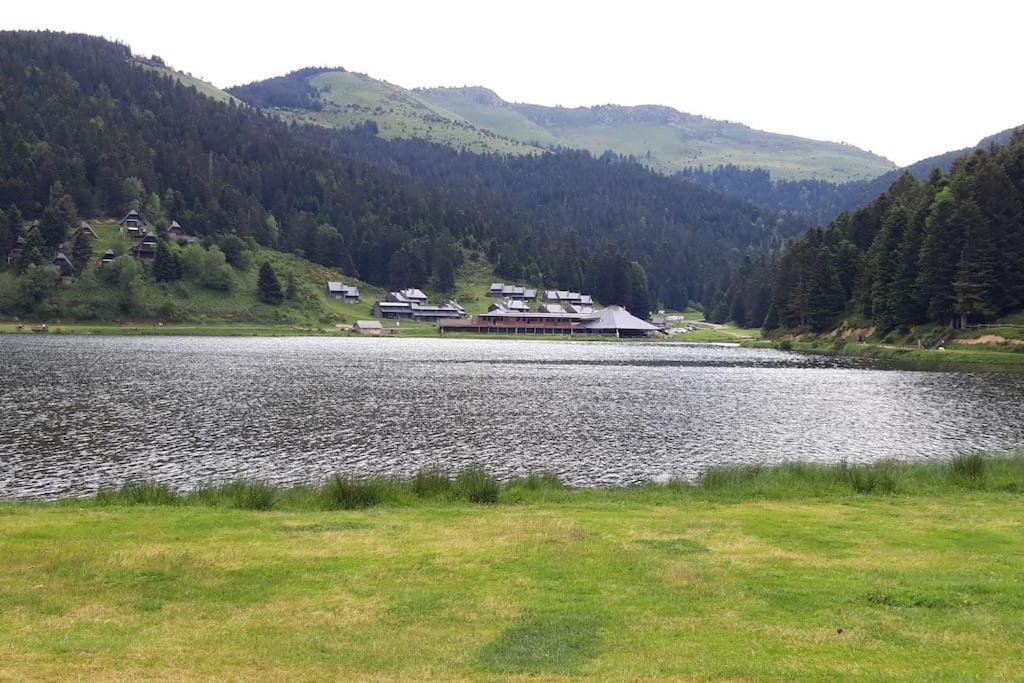 La Cabane Du Cerf A Payolle كامبان المظهر الخارجي الصورة